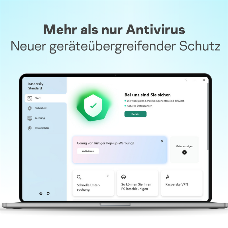 Kaspersky Lab Standard, 10 User, 2 Jahre, ESD (multilingual)