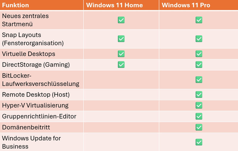 Microsoft Windows 11 Professional 64 Bit 24/7 E-mail Versand